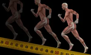 Anatomia biegu: zobacz, jakie mięśnie pracują przy bieganiu. Mięśnie nóg, pośladków i brzucha w ruchu.