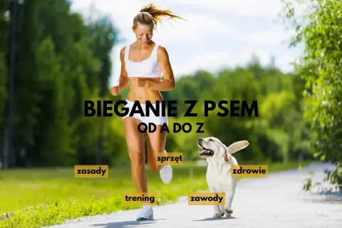 Szczęśliwa kobieta i jej pies biegną razem. Napis "Bieganie z psem od A do Z" sugeruje kompleksowe podejście do tej aktywności.