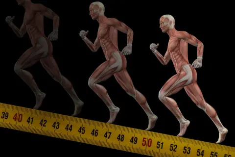 Anatomia biegu: zobacz, jakie mięśnie pracują przy bieganiu. Mięśnie nóg, pośladków i brzucha w ruchu.